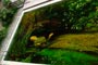 Al Fadhil gallery
