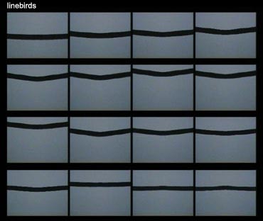 slideshow