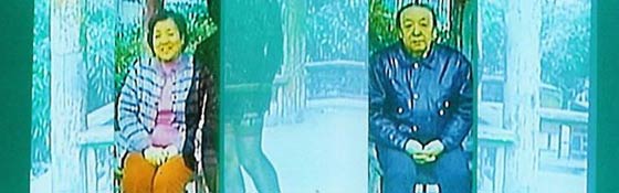 Leng Lin - new video art from china